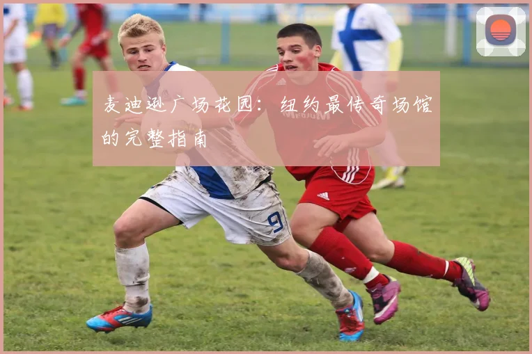 麦迪逊广场花园：纽约最传奇场馆的完整指南